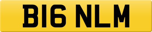 B16NLM
