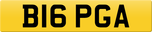 B16PGA