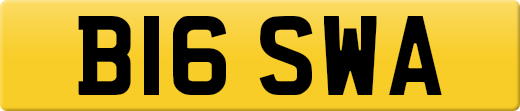 B16SWA