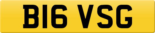 B16VSG