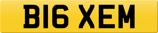B16XEM