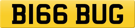 B166BUG