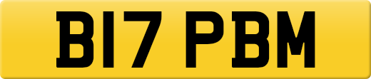 B17PBM