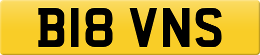 B18VNS