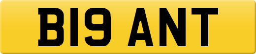 B19ANT