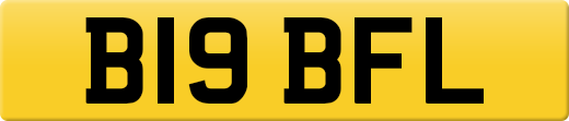 B19BFL