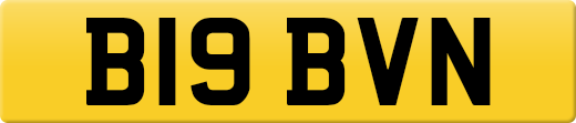 B19BVN
