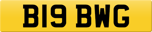 B19BWG