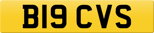 B19CVS