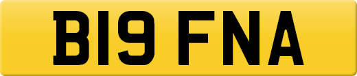 B19FNA