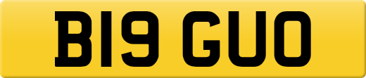 B19GUO