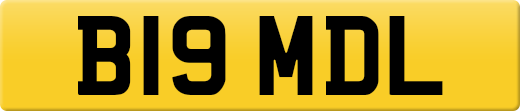 B19MDL