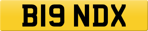 B19NDX