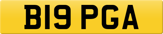 B19PGA