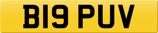 B19PUV