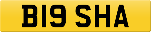 B19SHA