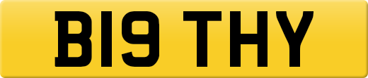 B19THY
