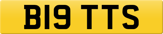 B19TTS