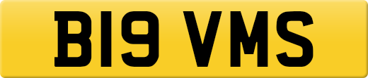 B19VMS