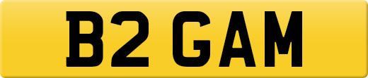 B2GAM