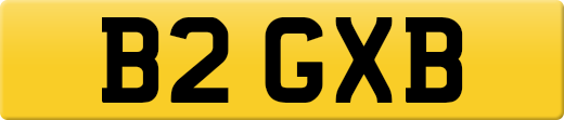 B2GXB