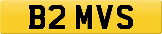 B2MVS
