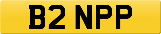 B2NPP