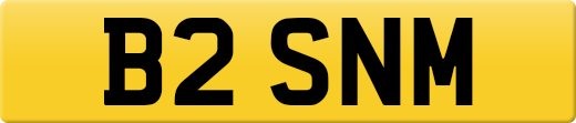 B2SNM