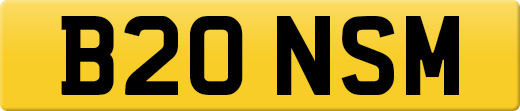 B20NSM