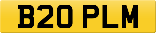 B20PLM
