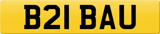 B21BAU