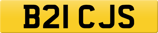 B21CJS