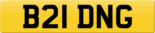 B21DNG