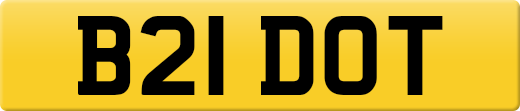 B21DOT