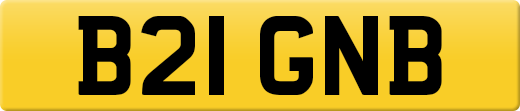 B21GNB