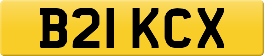 B21KCX