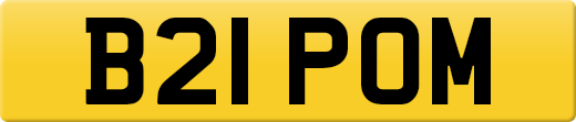B21POM