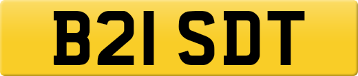 B21SDT