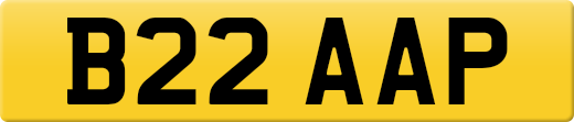 B22AAP