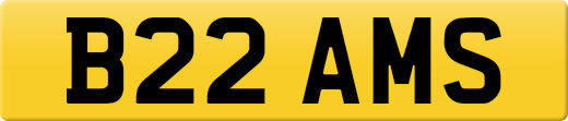 B22AMS