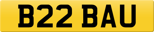 B22BAU