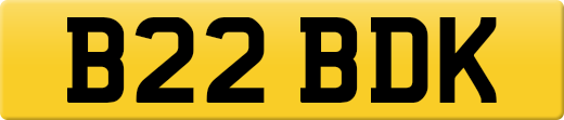 B22BDK