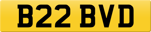 B22BVD
