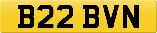 B22BVN