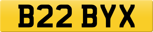 B22BYX