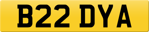 B22DYA