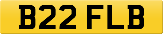 B22FLB