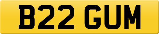 B22GUM