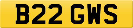 B22GWS