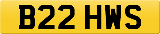 B22HWS